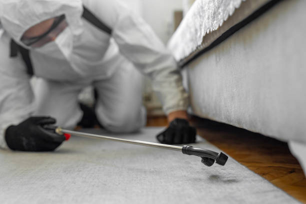 Professional Termite Control technician working in Bowman, ND