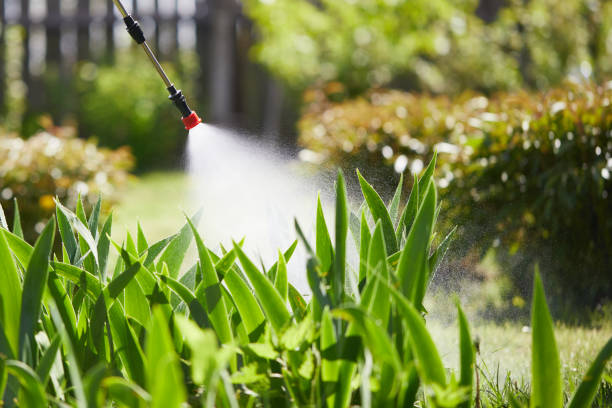 24/7 Emergency Termite Control experts in Bowman, ND