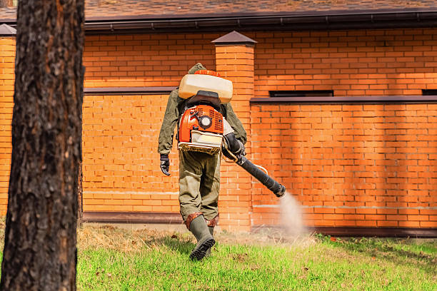 Top rated local Termite Control specialists in Bowman, ND